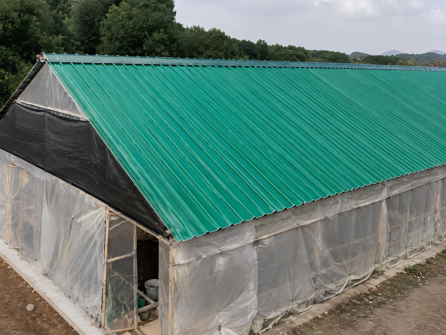 Agricultural greenhouse with grass green FRP sheet